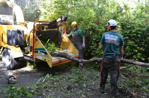 tree services Columbus Junction